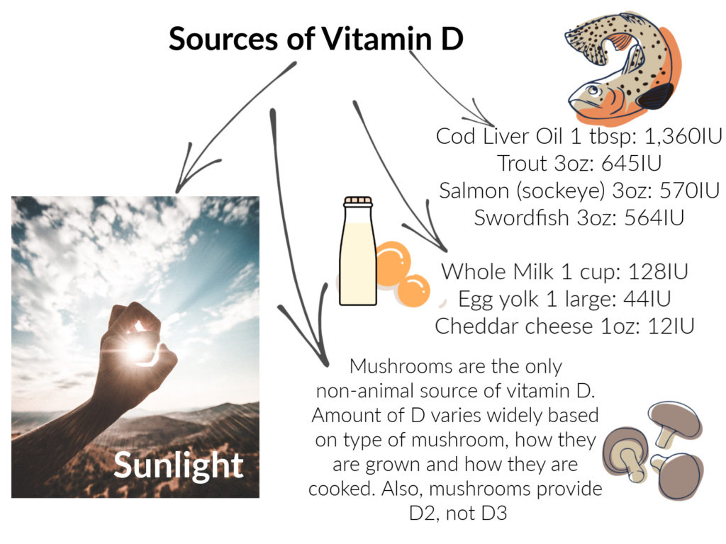 Best sources of vitamin D to help fight COVID-19 with nutrition